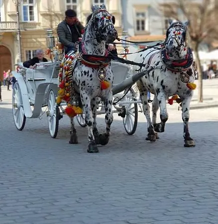 Royals Flower Ii Appartamento Cracovia